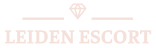 Escort Leiden Services